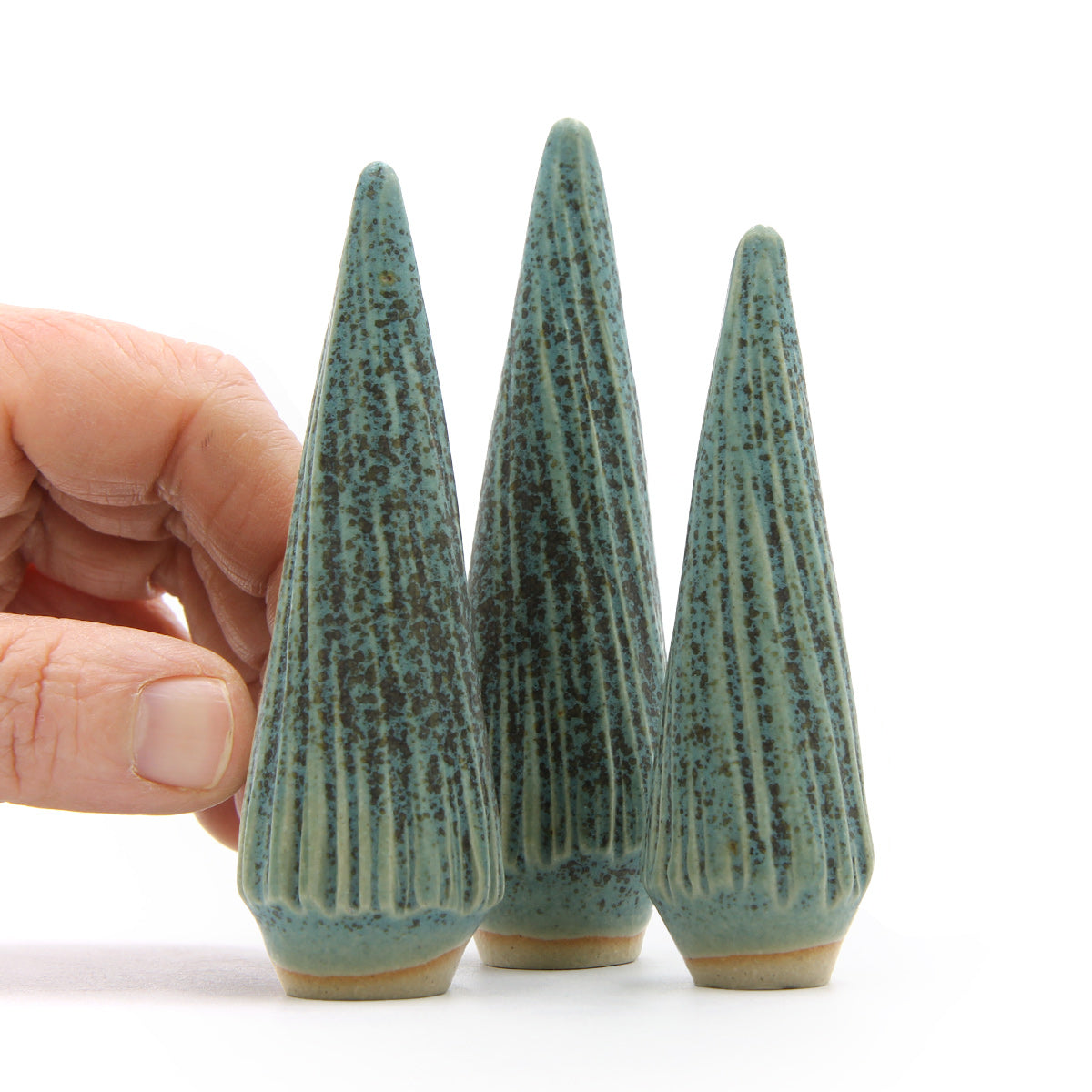 Ponderosa Pines — Grüne Tannenbäume