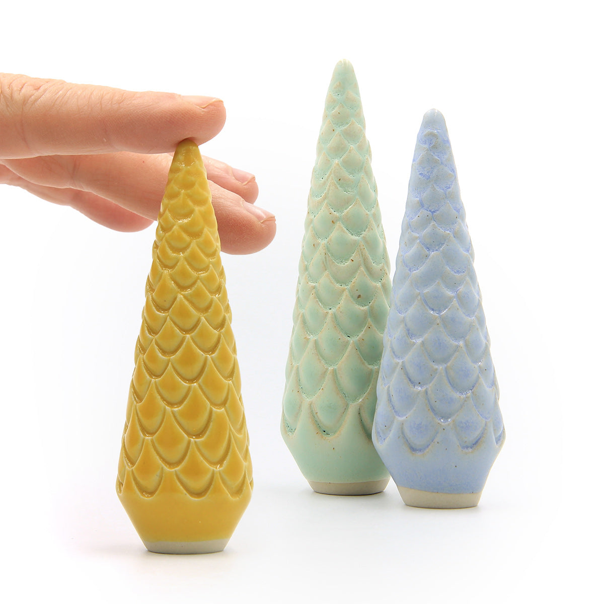 Traumkiefer - Sonne – Bild 4