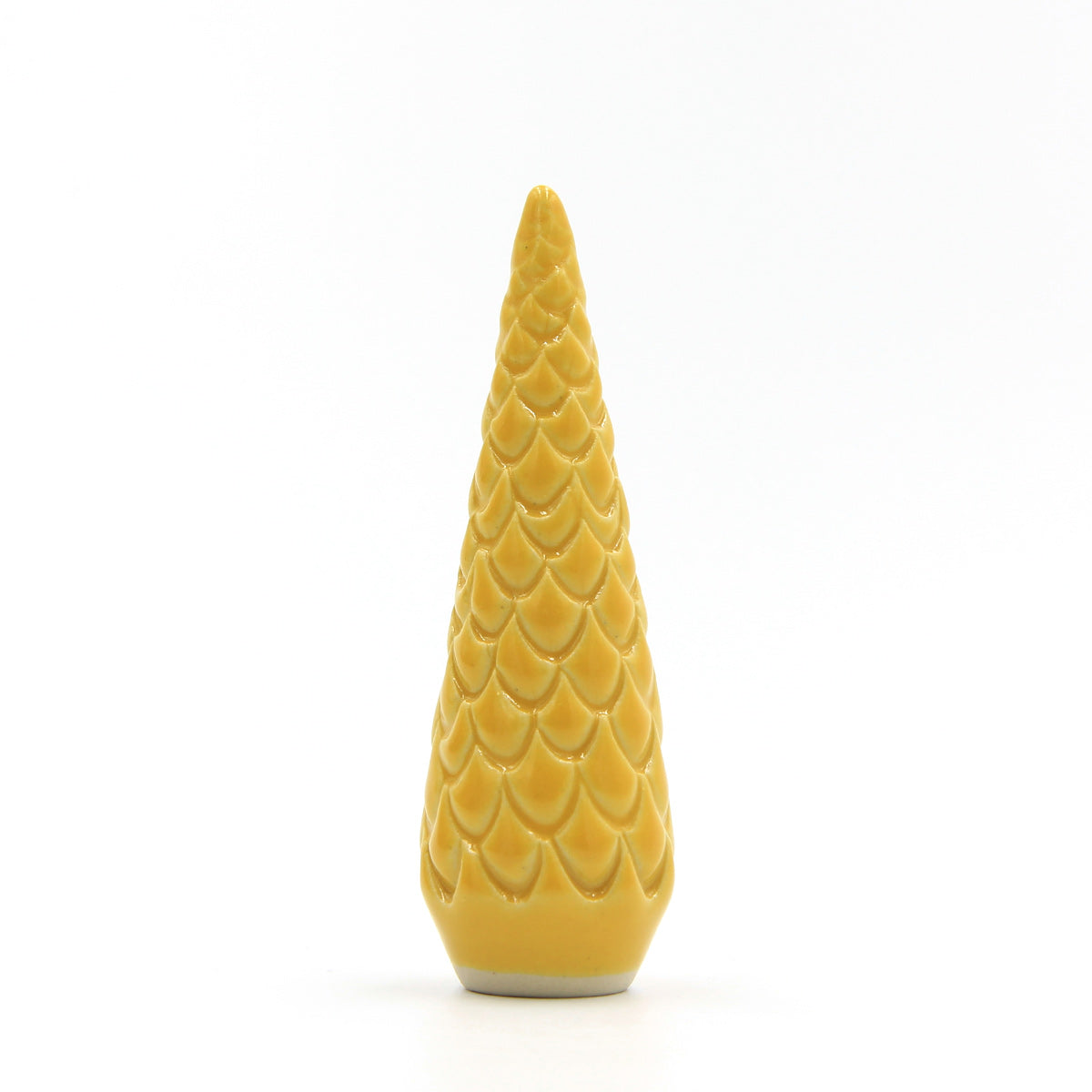 Traumkiefer - Sonne – Bild 3