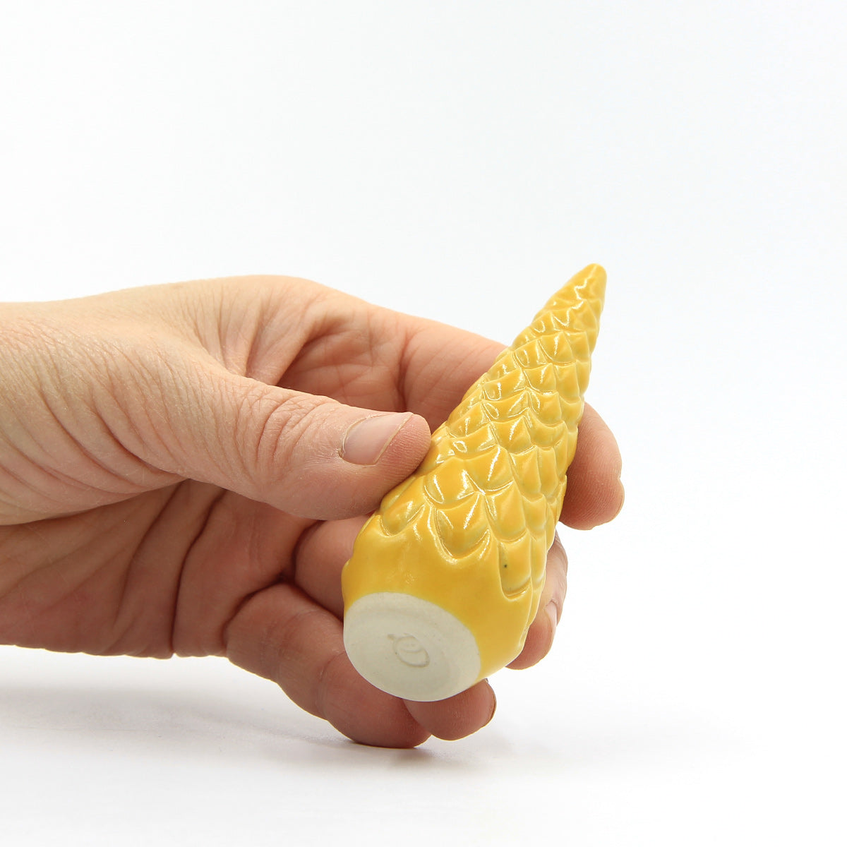 Traumkiefer - Sonne – Bild 2