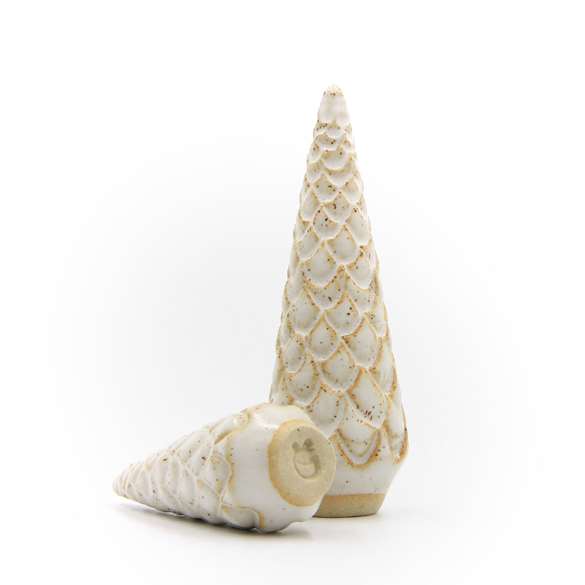 Schneekiefer - Weißfichte