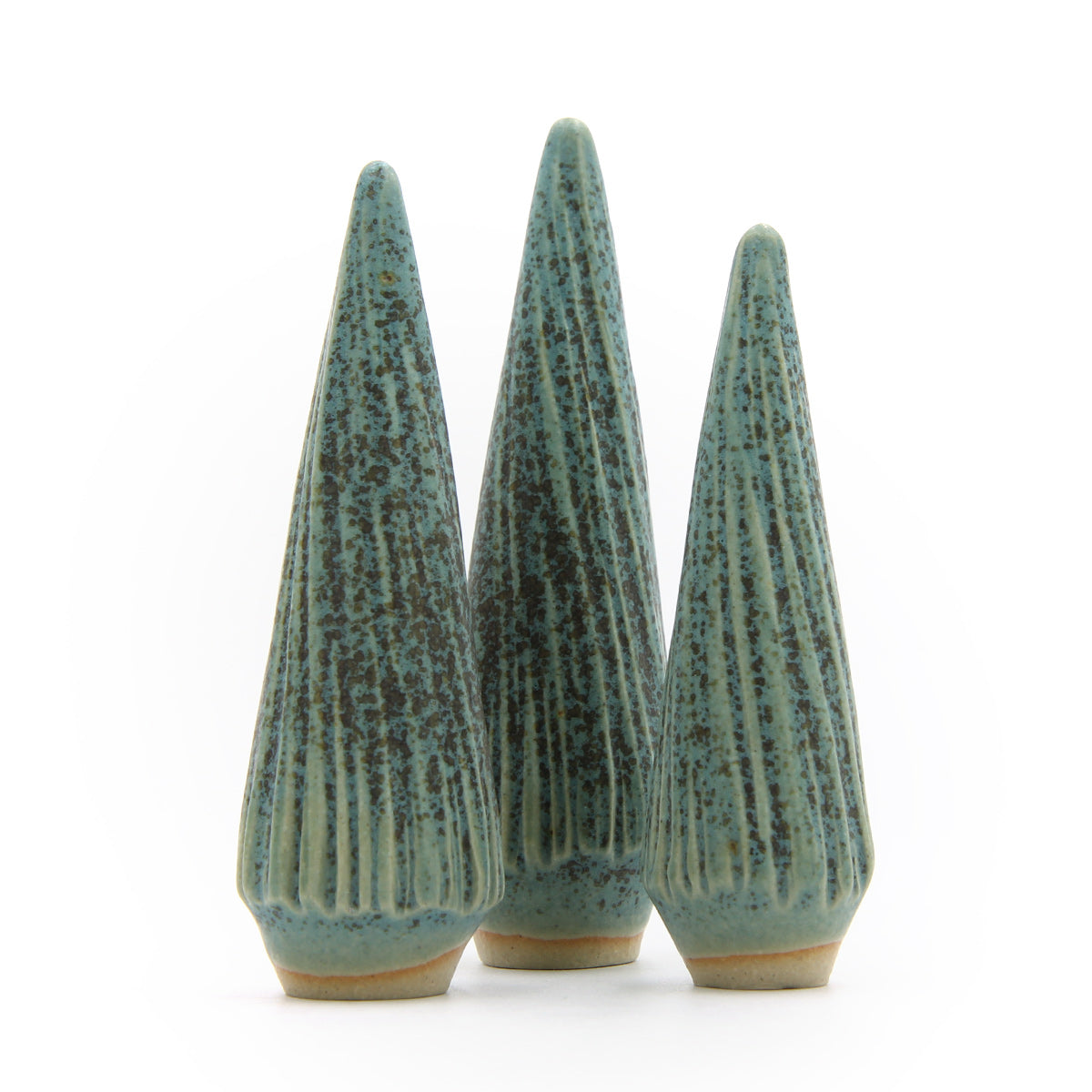 Ponderosa Kiefer - Grüne Fichte – Bild 3